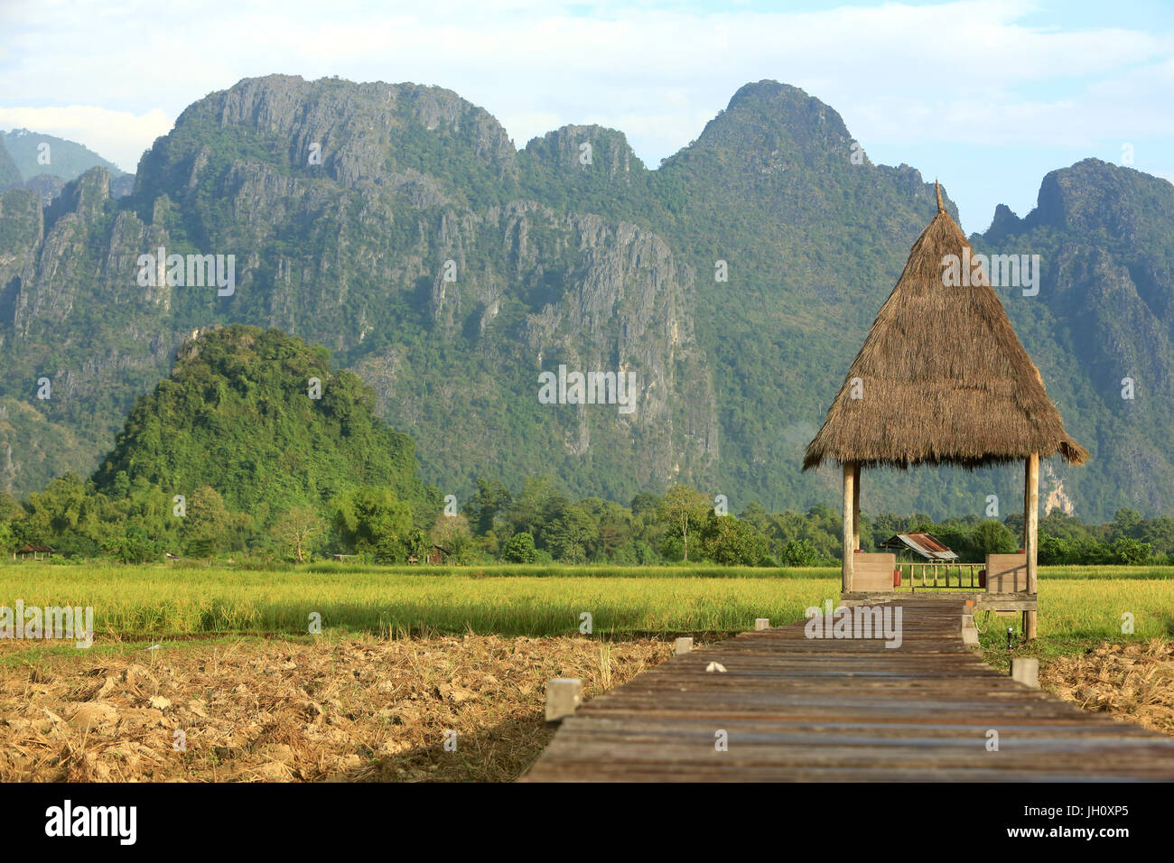 Campos de arroz con la impresionante montaña gota invertida. Laos. Foto de stock