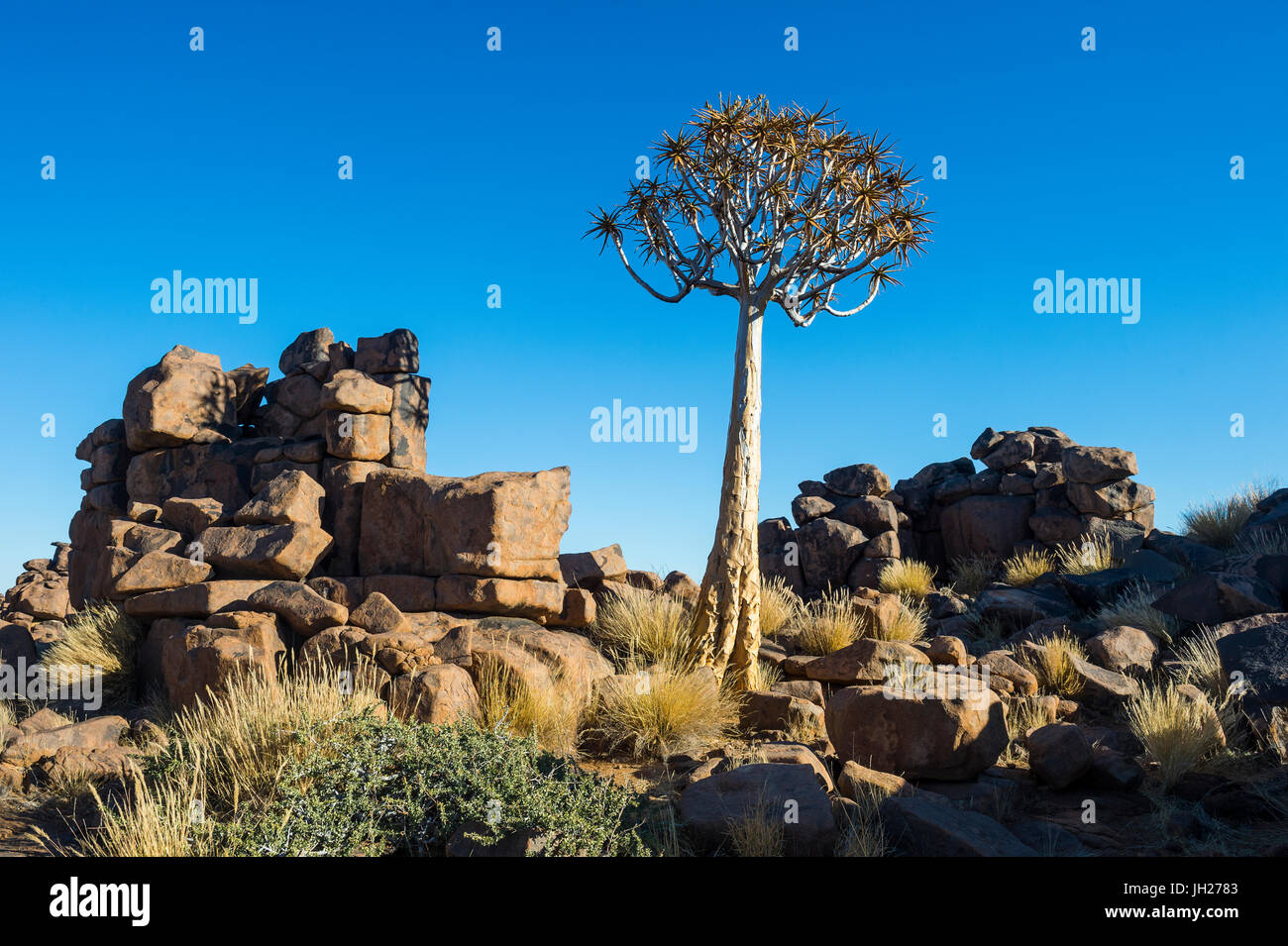Inusuales formaciones rocosas gigantes, Playground, Keetmanshoop, Namibia, África Foto de stock
