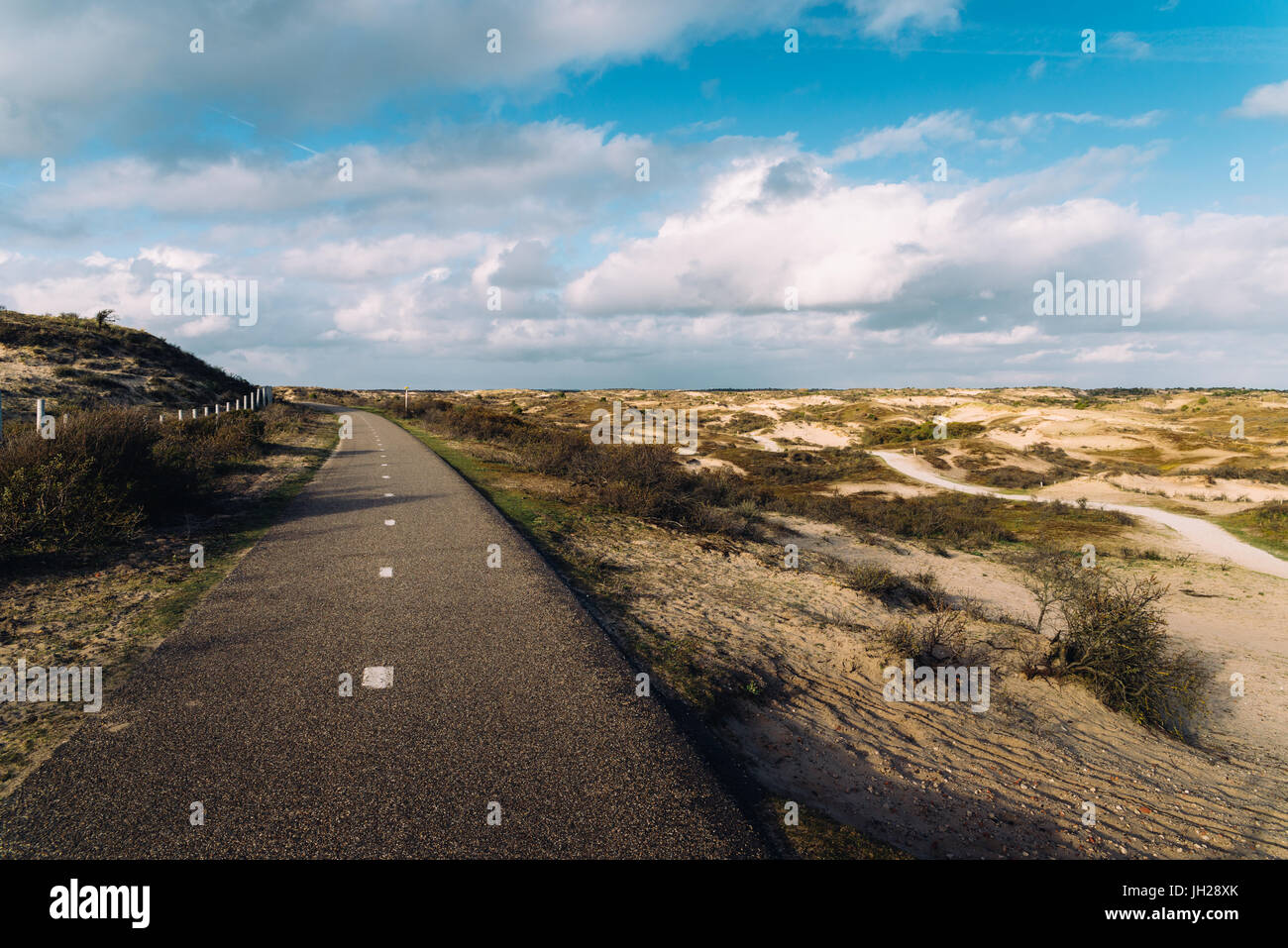 Ciclismo ruta pavimentada a lo largo de la costa holandesa, Zeevort, Países Bajos, Europa Foto de stock