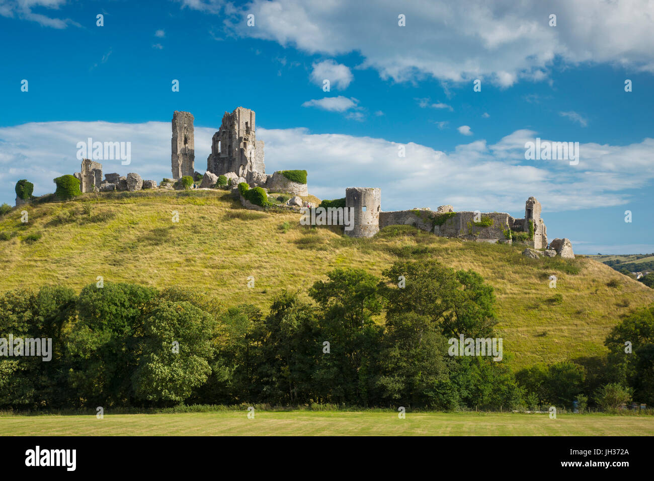 Ruinas de castillo Corfe cerca de Wareham, Isla de Purbeck, Dorset, Inglaterra Foto de stock