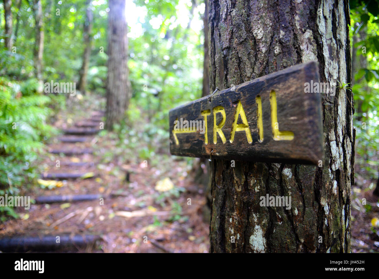 Señal mostrando el camino a los excursionistas en el Vermont Nature Trail en San Vicente, el caribe Foto de stock