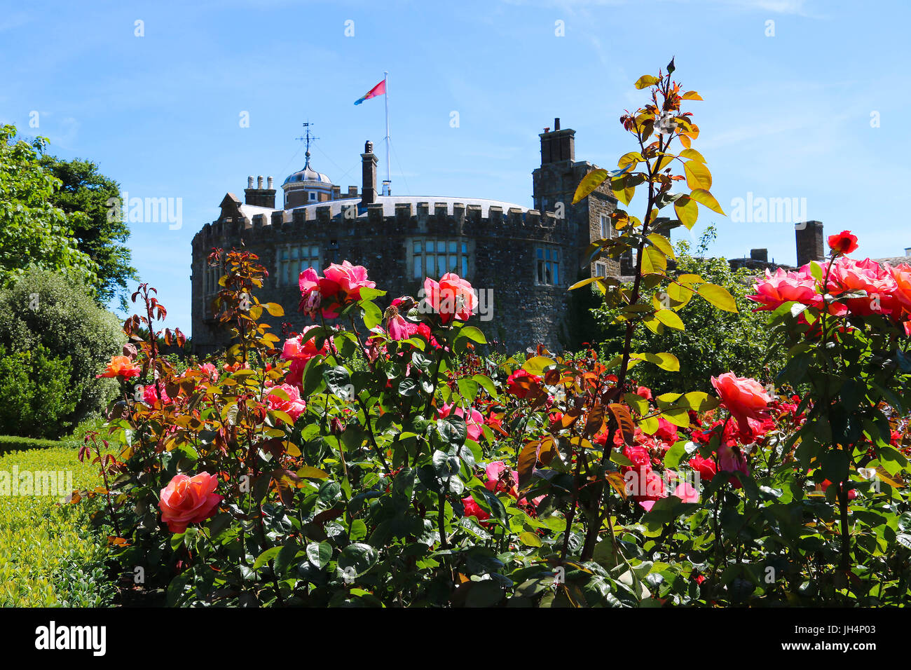 Walmer Castle Rose Garden 2017 Foto de stock