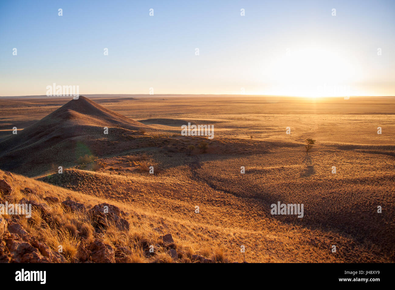 Atardecer en la sabana de Parque Nacional Namib-Naukluft, Namibia Foto de stock