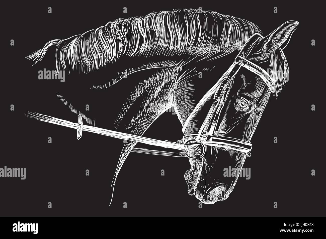 Featured image of post Silueta Dise o Perfil Cabeza De Caballo Dibujo