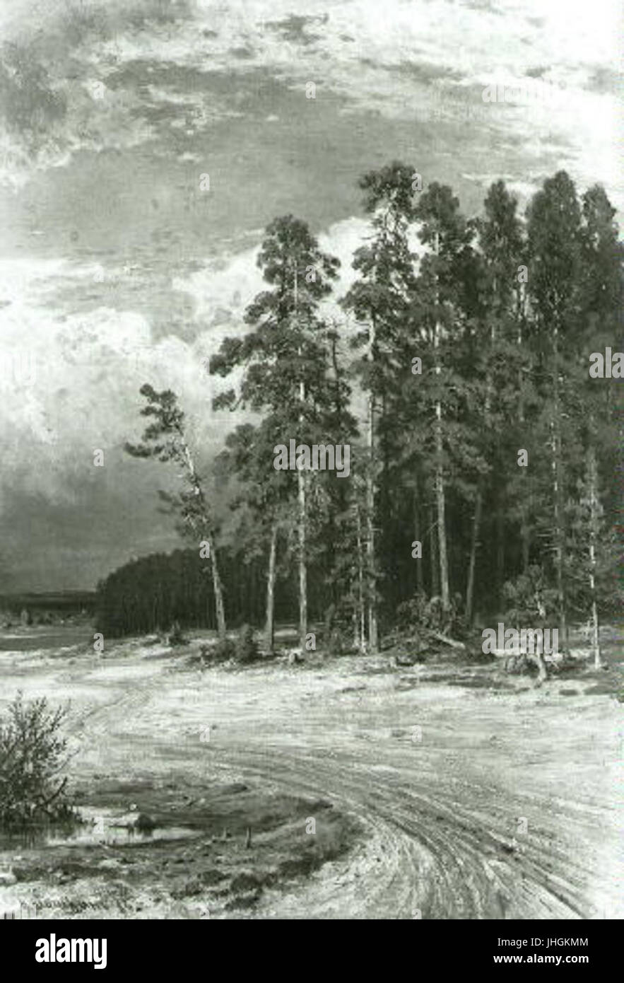 Ivan Ivanovic Siskin 1832-1898 - Na pokraji boroveho lesa Foto de stock