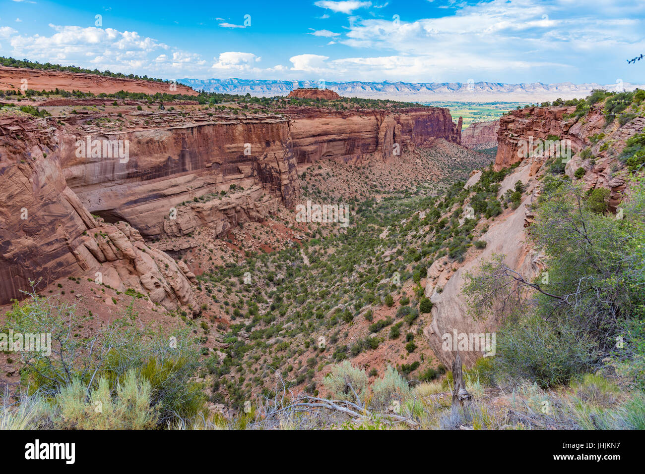 Vistas del Monumento Nacional de Colorado cerca de Grand Junction, Colorado Foto de stock