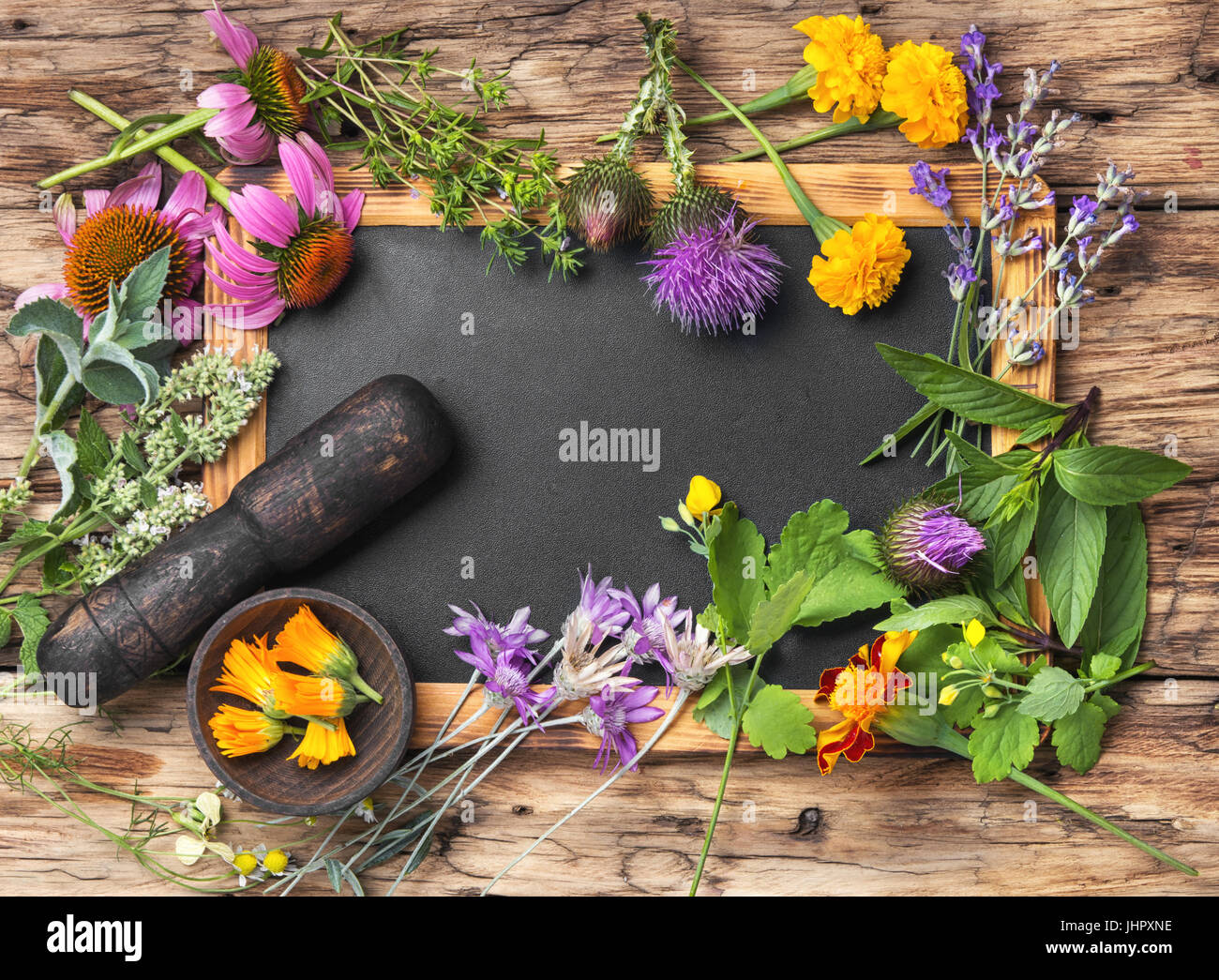 Plantas medicinales en caja de madera fotografías e imágenes de alta