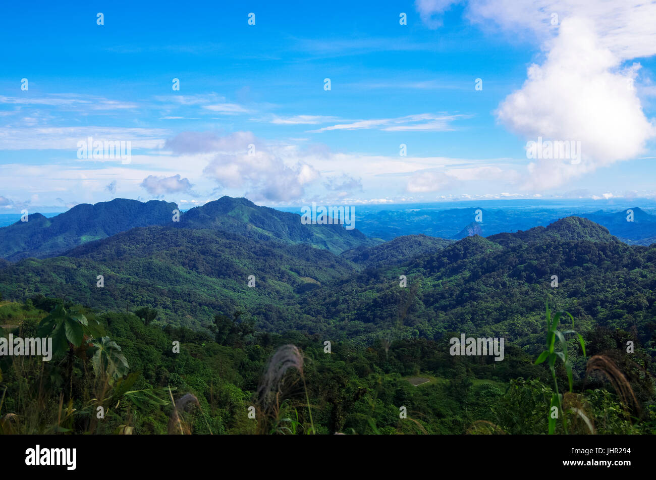 Paisaje de imágenes tomadas en las montañas de Panamá en Altos del Maria Foto de stock