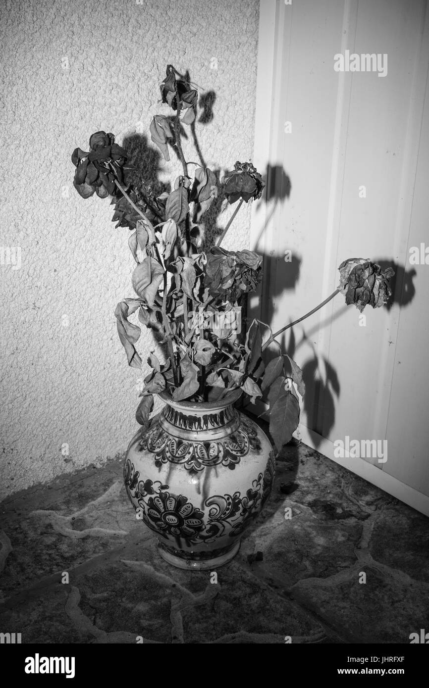 Decoración De Jarrones Con Flores Secas En La Antigua Muralla Fotos,  retratos, imágenes y fotografía de archivo libres de derecho. Image  162912724