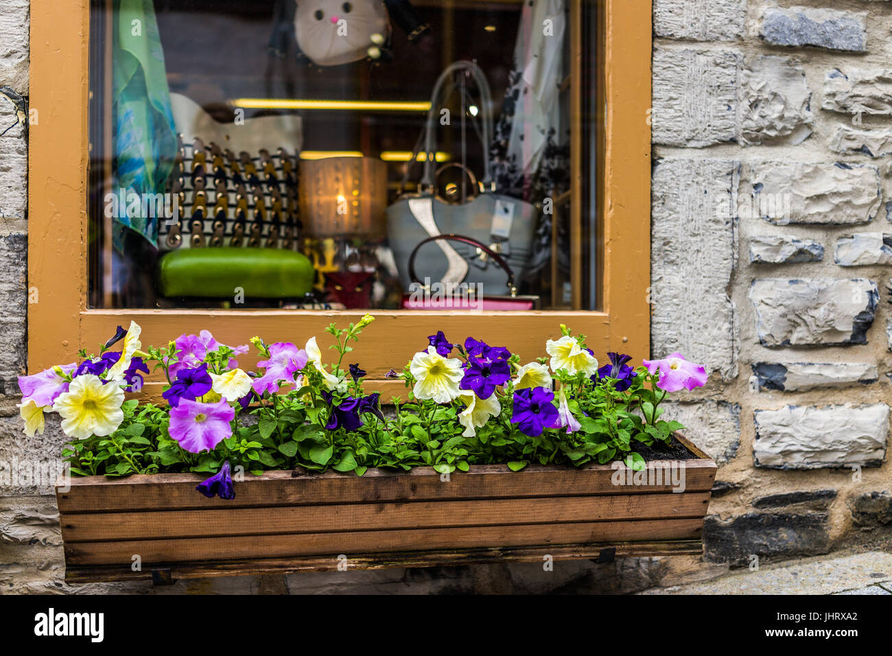 La Ciudad de Quebec, Canadá - 30 de mayo de 2017: colgantes petunia cama de flor de decoración en la parte inferior de la ciudad vieja calle por la tienda de recuerdos de piedra ventana durante summe Foto de stock