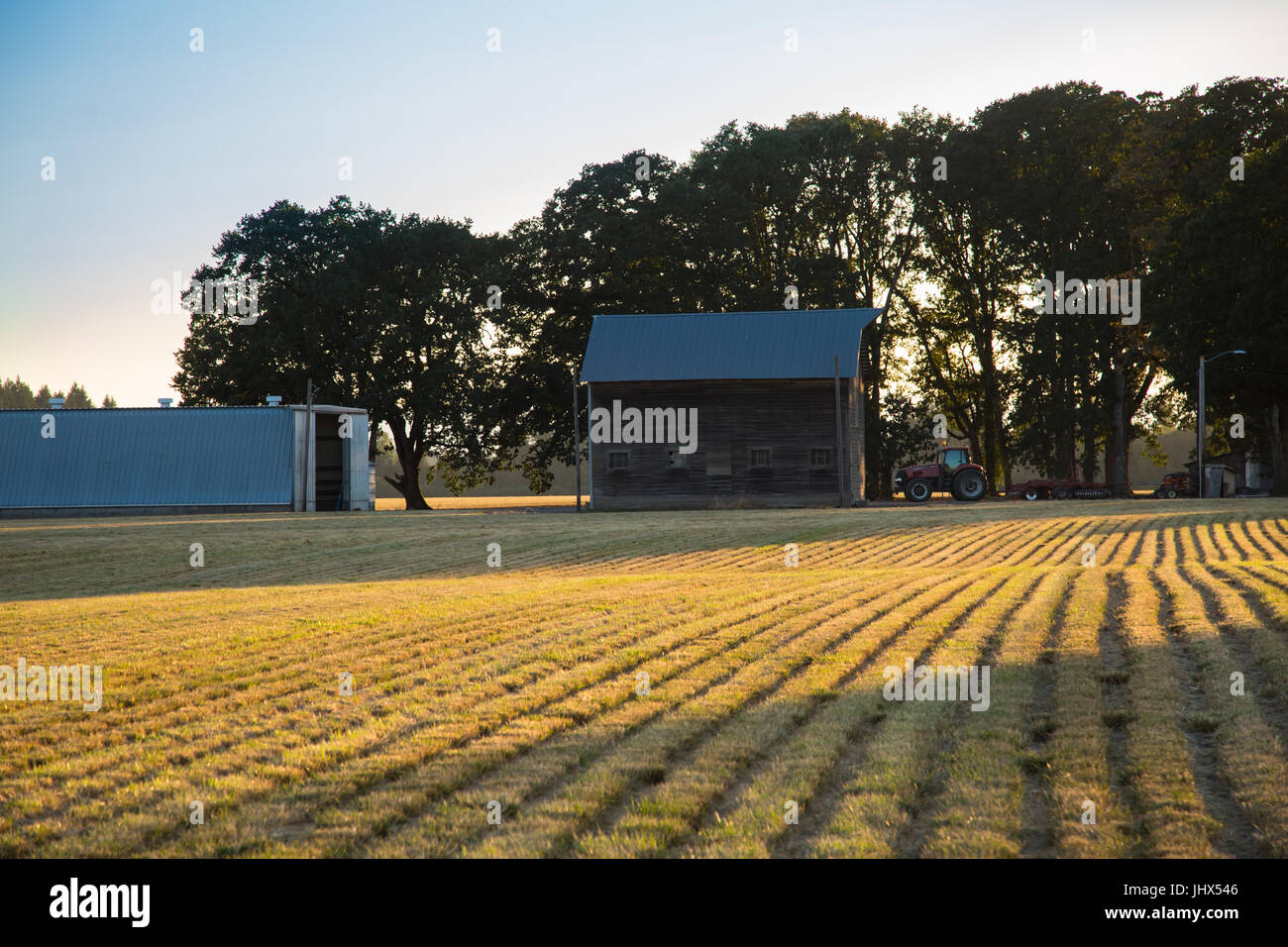 Granja al atardecer Foto de stock