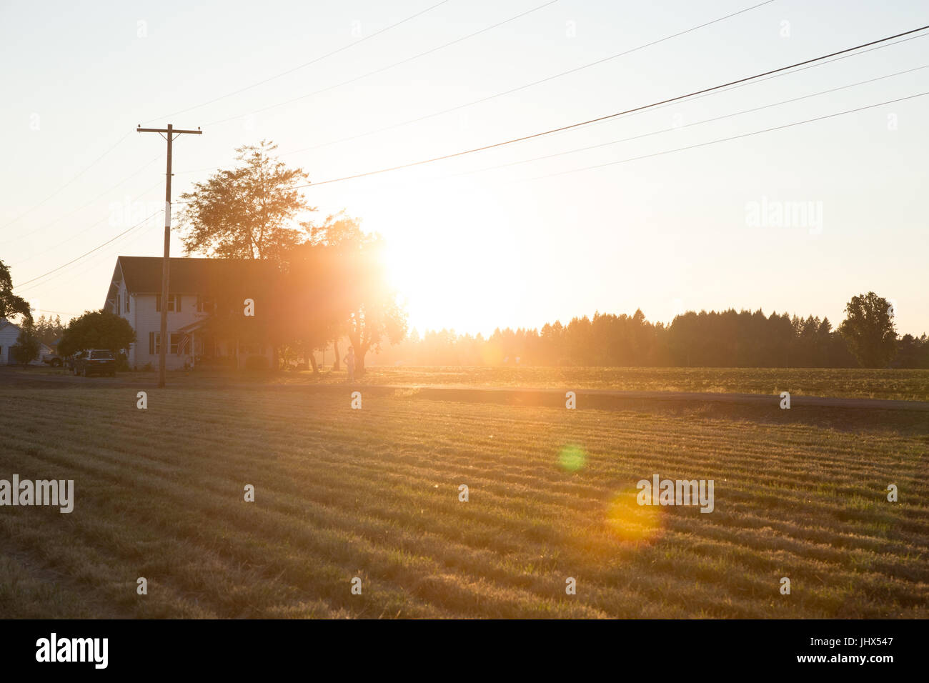 Granja al atardecer Foto de stock