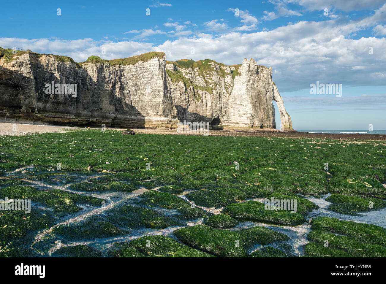 Porte d'aval con marea baja y algas en la Playa Etretat, Normandía, Francia, Europa Foto de stock
