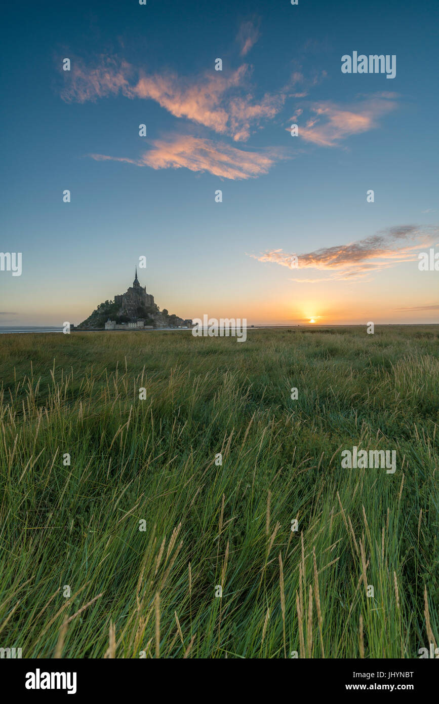 Amanecer con la hierba en primer plano, Normandía, Francia, Europa Foto de stock