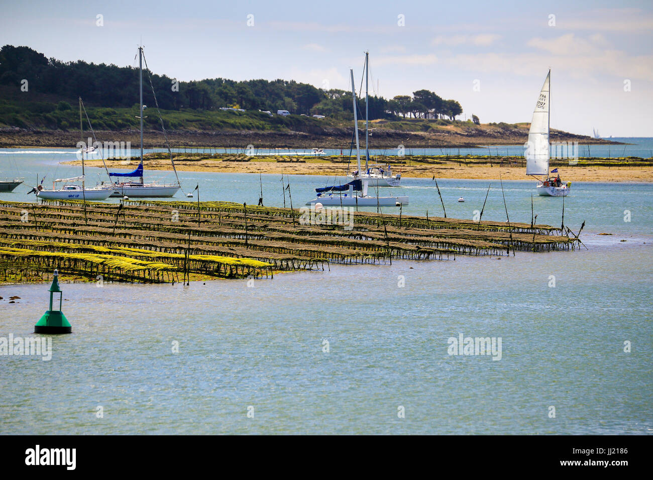 Camas de mejillones y yates en el estuario Kervilor en la Trinite sur Mer, Bretaña, Francia. Foto de stock