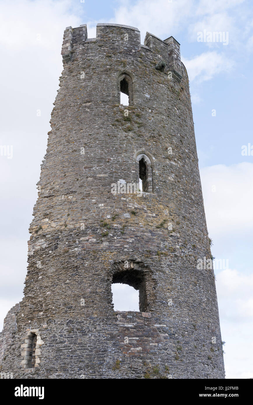 Castillo de helechos, Condado de Wexford, Irlanda, una fortaleza anglo-normandas, construido a mediados del siglo XIII por William Marshall, Earl. Hoy aproximadamente la mitad o Foto de stock