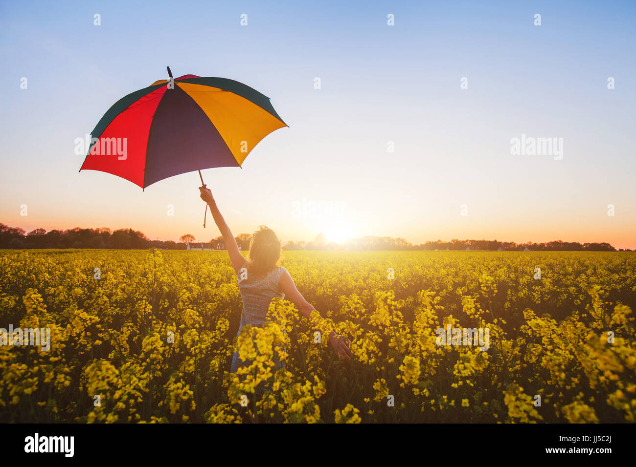 Mujer feliz con coloridos paraguas al atardecer campo de flores, alegría, concepto Foto de stock