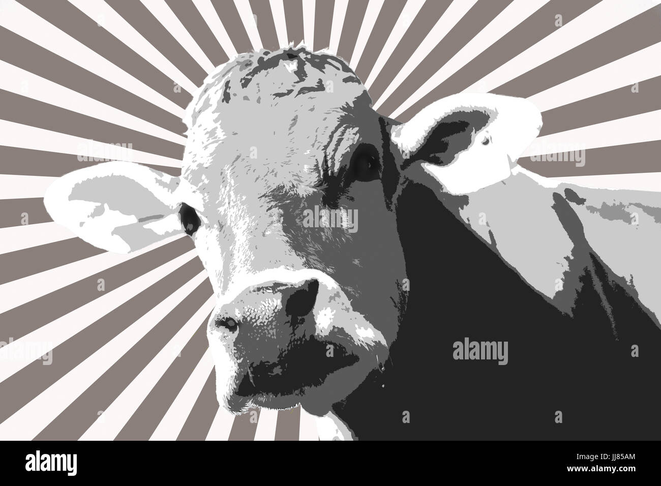 Europa, Suiza, San Gallen, procesada digitalmente curioso vaca artful abstracta ,neugierige Kuh abstrakt kunstvoll Foto de stock