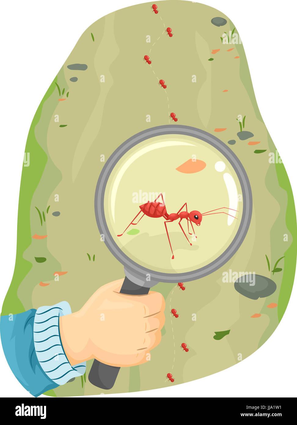 Ilustración Animal con una hormiga siendo observado bajo una lupa  Fotografía de stock - Alamy