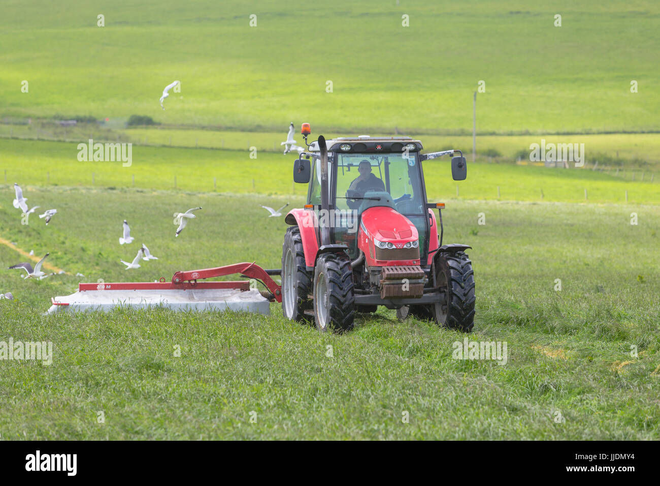 El agricultor y el tractor en un campo de hierba de cosecha Foto de stock