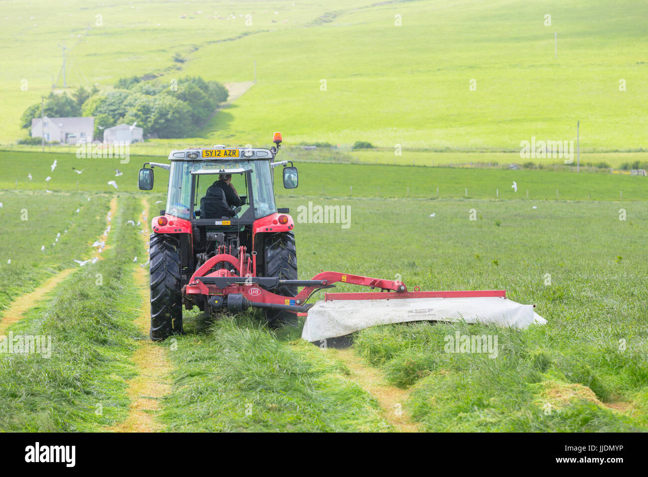 El agricultor y el tractor en un campo de hierba de cosecha Foto de stock