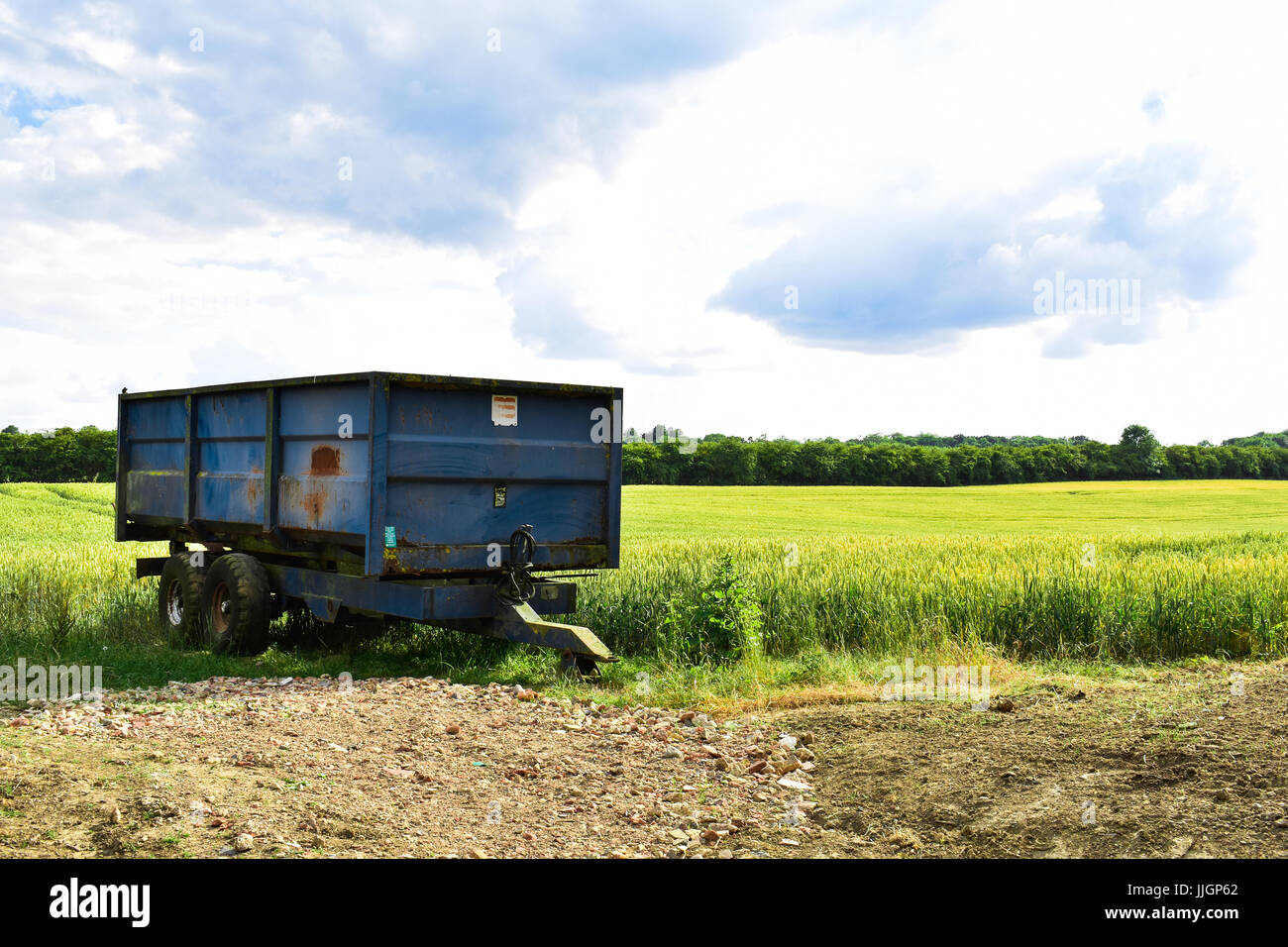 Rusty viejo tractor agrícola azul sentado en un campo de trigo antes de la cosecha en el verano en Inglaterra Foto de stock