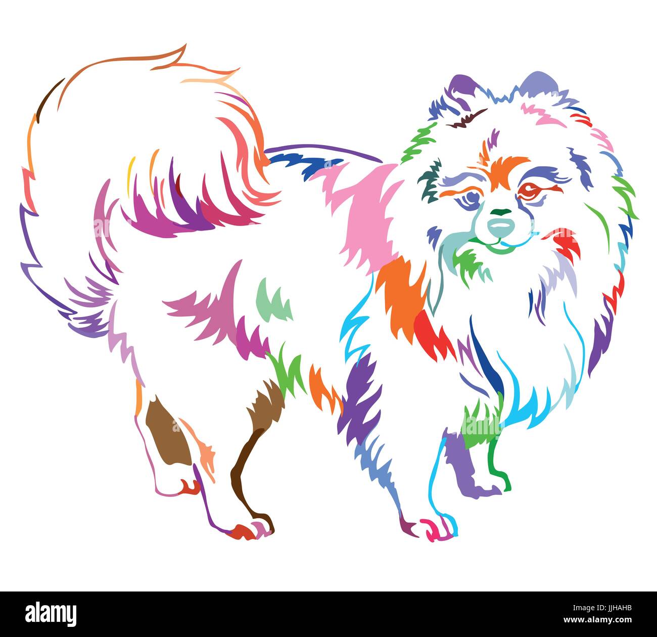 Retrato de decorativos en perfil permanente raza de perro Spitz (Pomerania), vector ilustración aislada en diferentes colores sobre fondo blanco. Ilustración del Vector