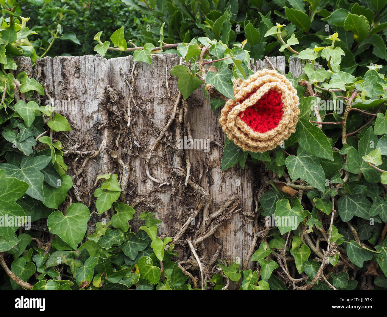 Bombardeo de hilados, Yarnbombing, Rubio Village, en la Isla de Wight. 19 Jul, 2017. Foto tomada el 16 Jul, 2017. Los rubios tejer y Natter Grupo decorar rubios Village para recaudar dinero para el rubio Elephant Club, una organización de caridad local la recaudación de fondos para las personas con problemas de memoria y la capacidad de los perros para los jóvenes. La fecha coincide con la Isla de Wight estudios abiertos donde el artista abren sus talleres para mostrar al público sus artesanías en toda la isla, desde el 14 al 24 de julio de 2017. Foto tomada el 16 Jul, 2017. Foto de stock