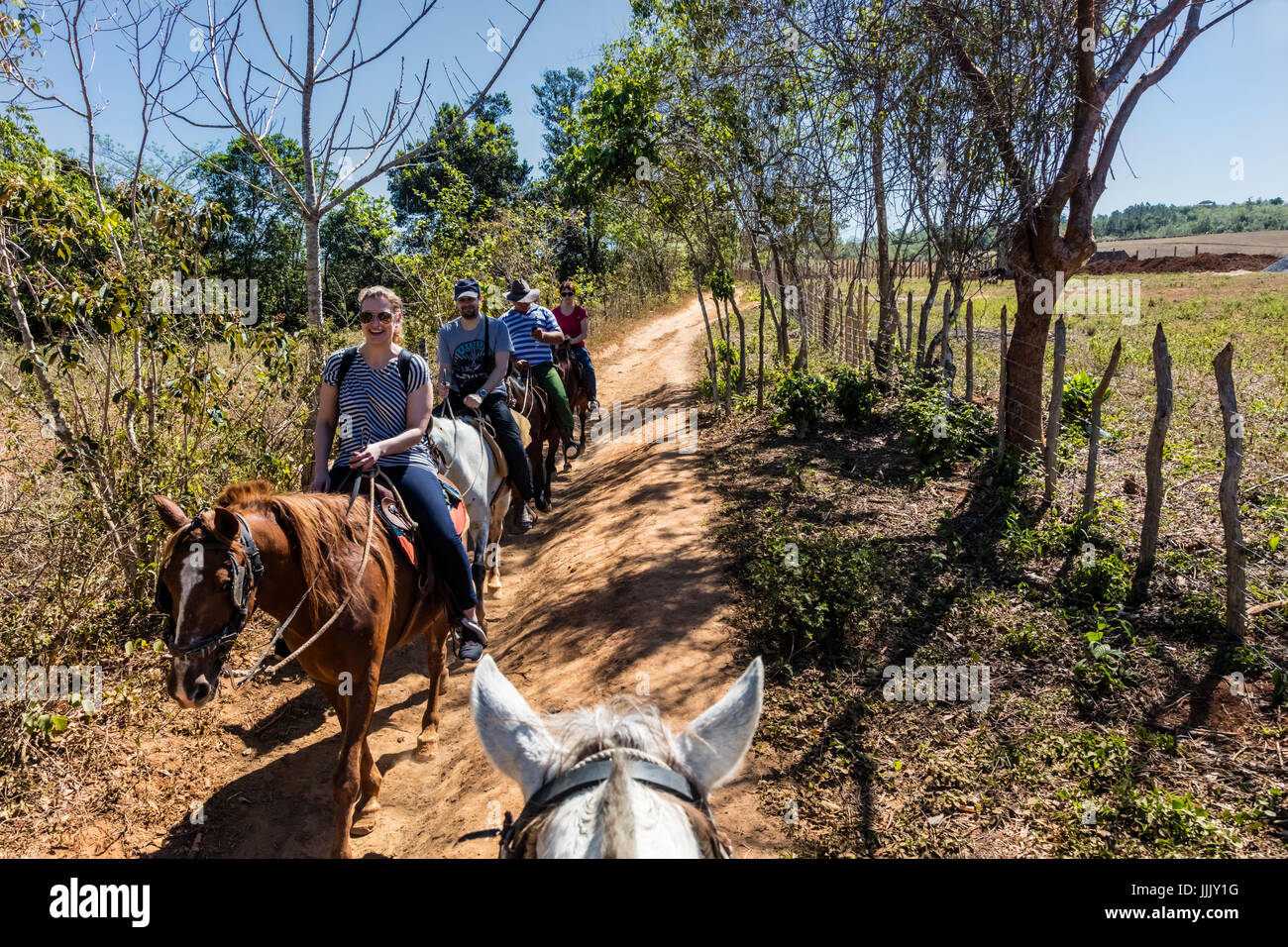 Los turistas montar a caballo en las ricas tierras de tabaco del Valle de Viñales, Cuba Selencio - Foto de stock