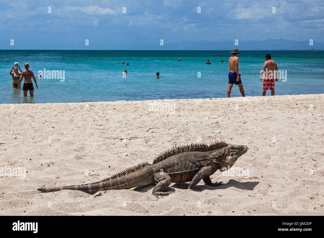 La isla tropical de Cayo Iguana llegar en barco desde Playa Ancón es un  destino turístico - TRINIDAD, CUBA Fotografía de stock - Alamy