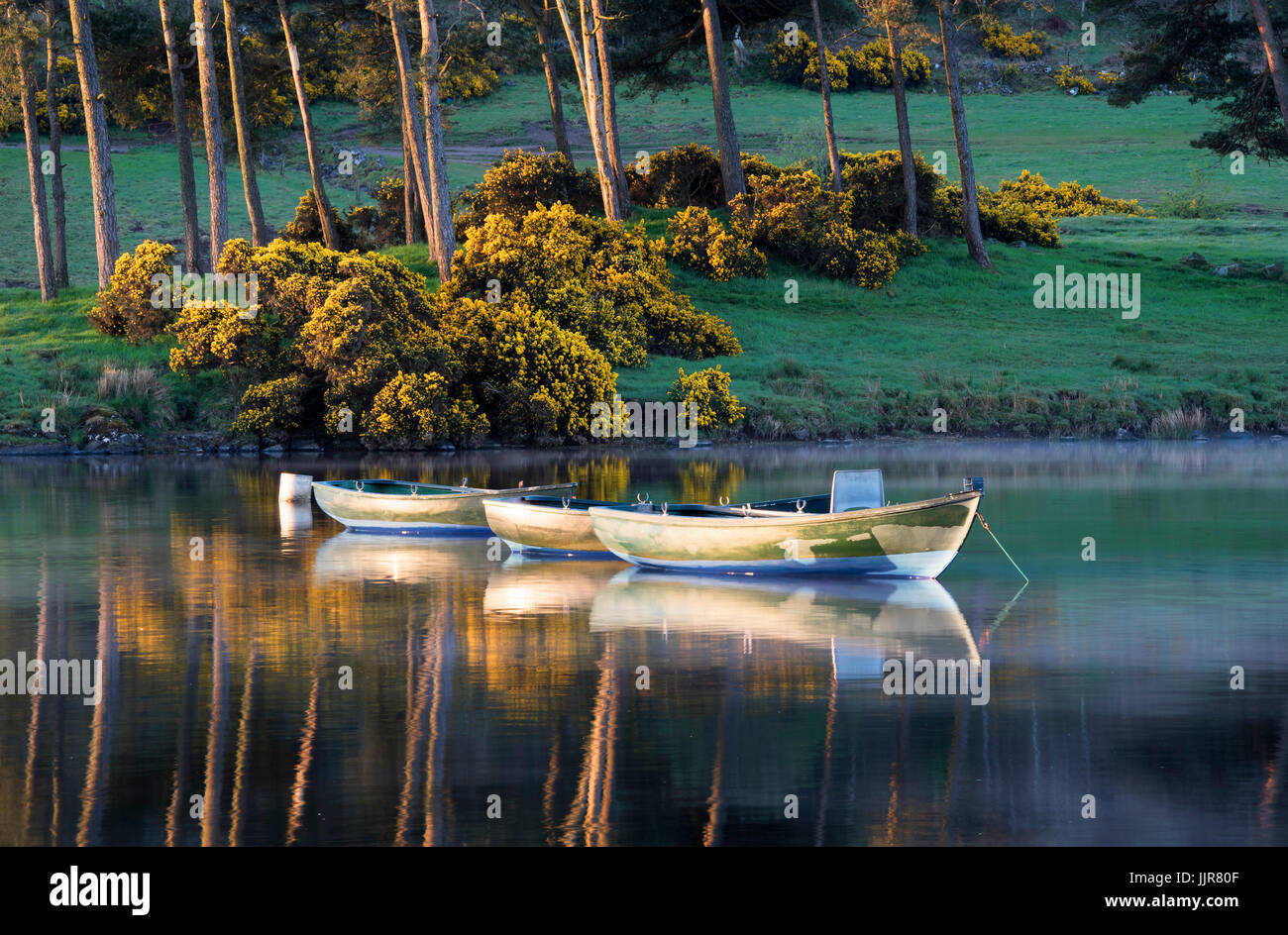 Tres barcos de pesca y de remo en un misy mañana en Knapp's Loch, Kilmacolm, Escocia. Foto de stock