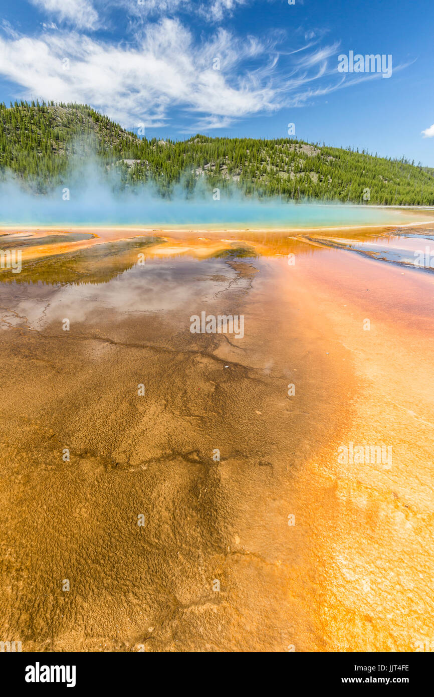 Los vívidos colores del arco iris de la Grand Prismatic Spring, en el Parque Nacional Yellowstone, Wyoming Foto de stock