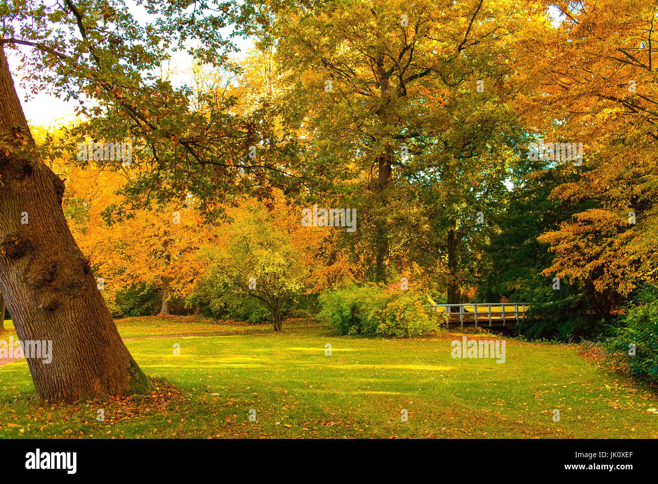 Más autumnally parque con color parte trasera y el pequeño puente de madera, parque herbstlicher mit bunten baeumen und kleiner holzbruecke Foto de stock