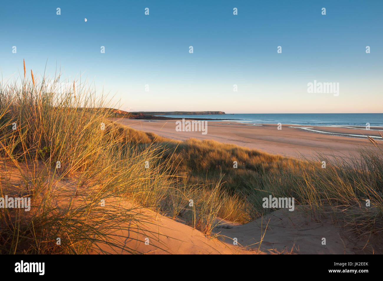 Vista a través de la hierba en las dunas de agua fresca del oeste, Pembrokeshire (Gales) en la luz de la tarde Foto de stock