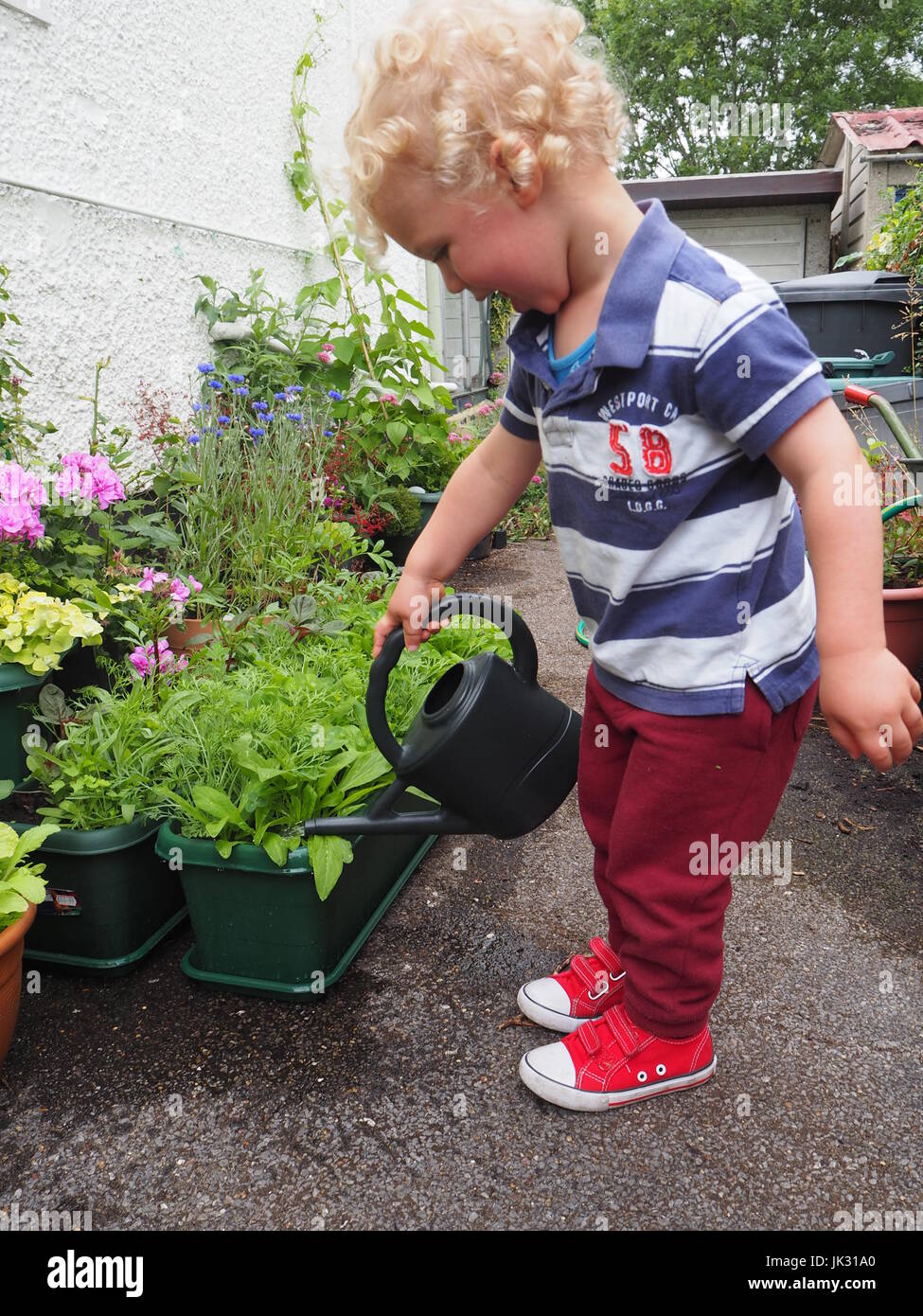 Un niño de 2 años regar las plantas al lado de casa; mostrando  responsabilidad y cuidado, utilizando una regadera para cuidar sus plantas.  Una de las series Fotografía de stock - Alamy