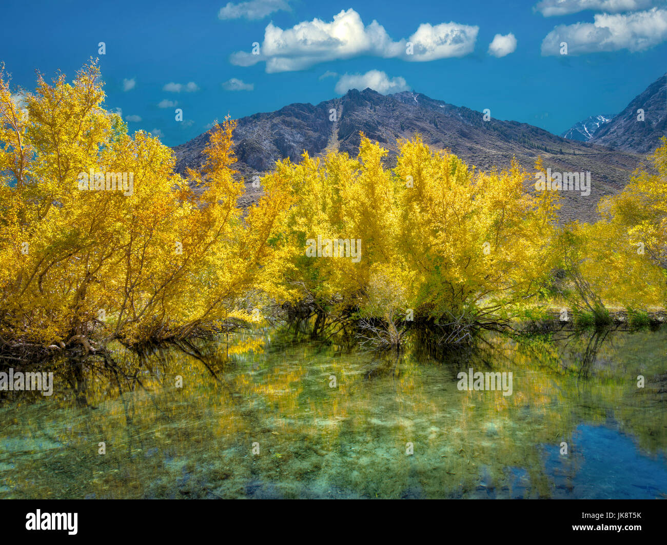 Pequeña charca en Beaver Creek con McGee color en el otoño. Sirra oriental Nevada Mountains, California Foto de stock