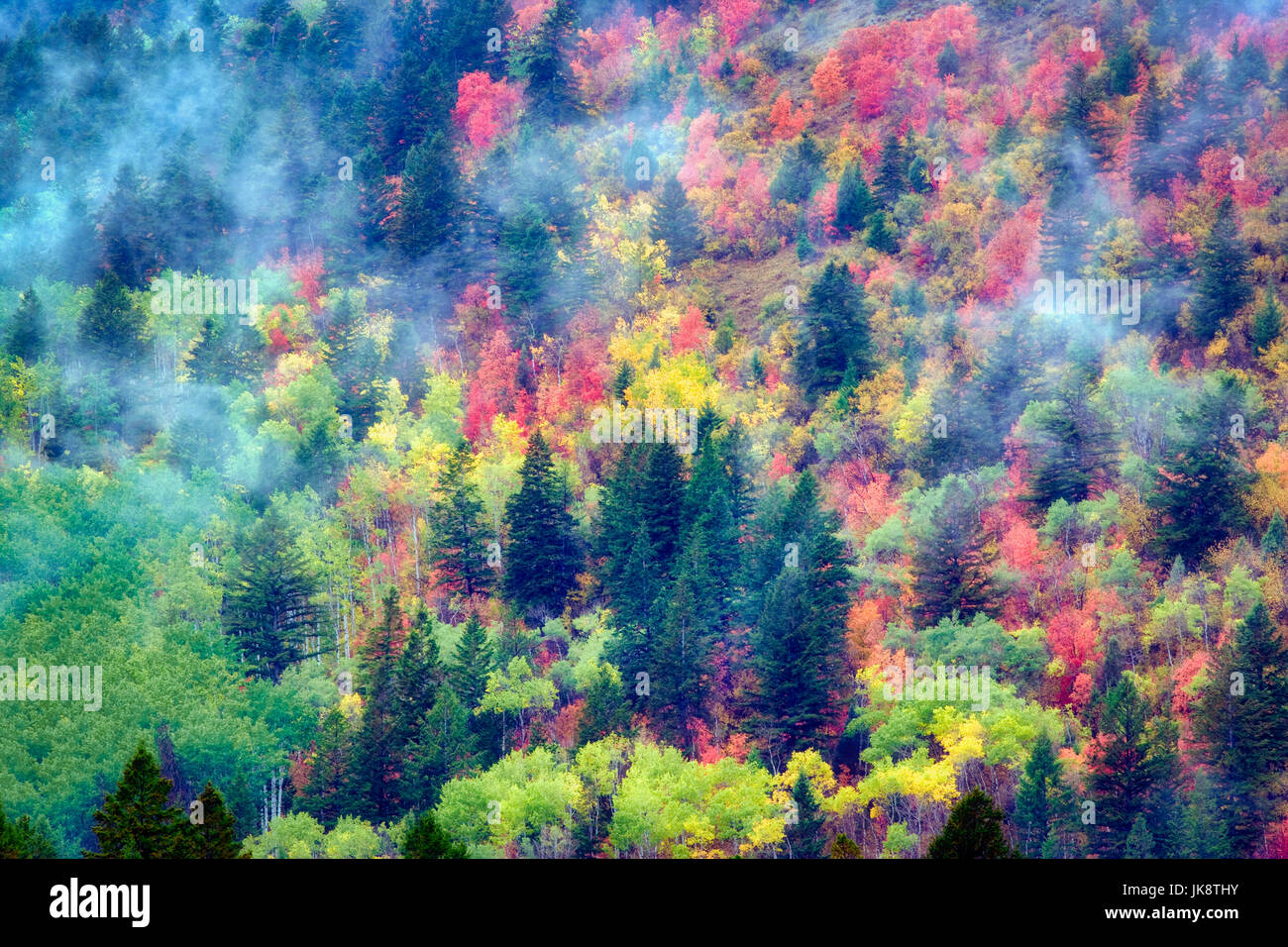 Color otoño colina cerca de Jackson Hole, wy Foto de stock