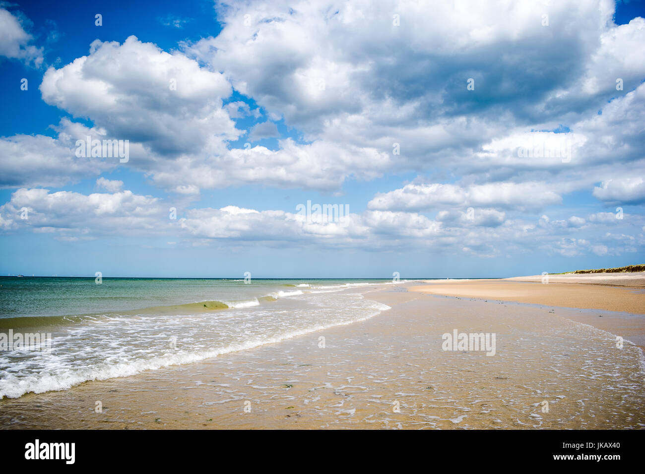 Punto Blekeney, sellos colonia Norwich, al norte de Norfolk, Reino Unido Foto de stock