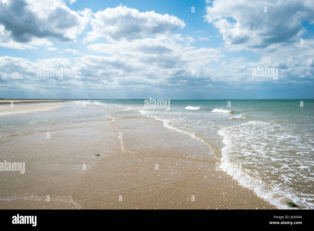 Punto Blekeney, sellos colonia Norwich, al norte de Norfolk, Reino Unido Foto de stock