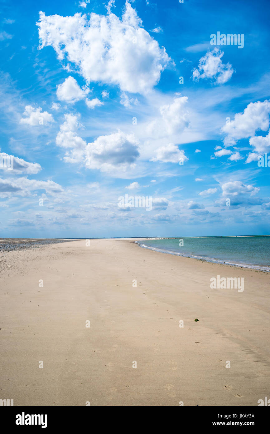 Punto Blekeney, sellos colonia Norwich, al norte de Norfolk, Reino Unido Foto de stock