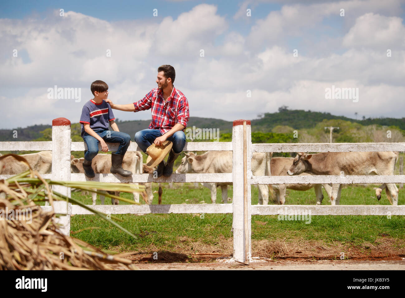 La vida cotidiana de los agricultores con las vacas en el campo. Trabajo campesino en América del Sur con el ganado en family country Ranch. Padre e hijo feliz smil Foto de stock