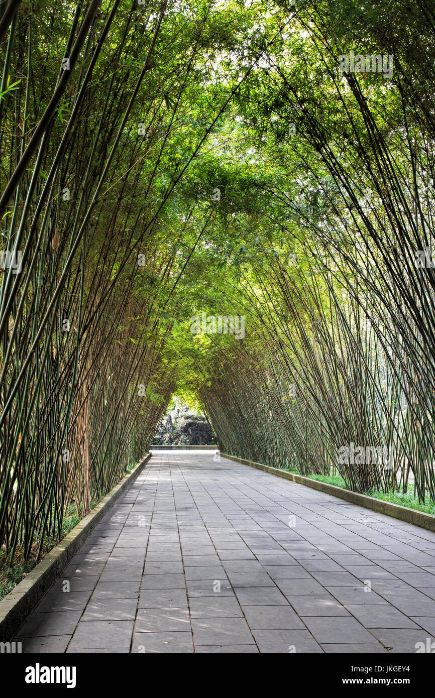 Tranquilo paseo cubierto de bambú a través del Parque Wangjianglou en Chengdu, provincia de Sichuan, China Foto de stock