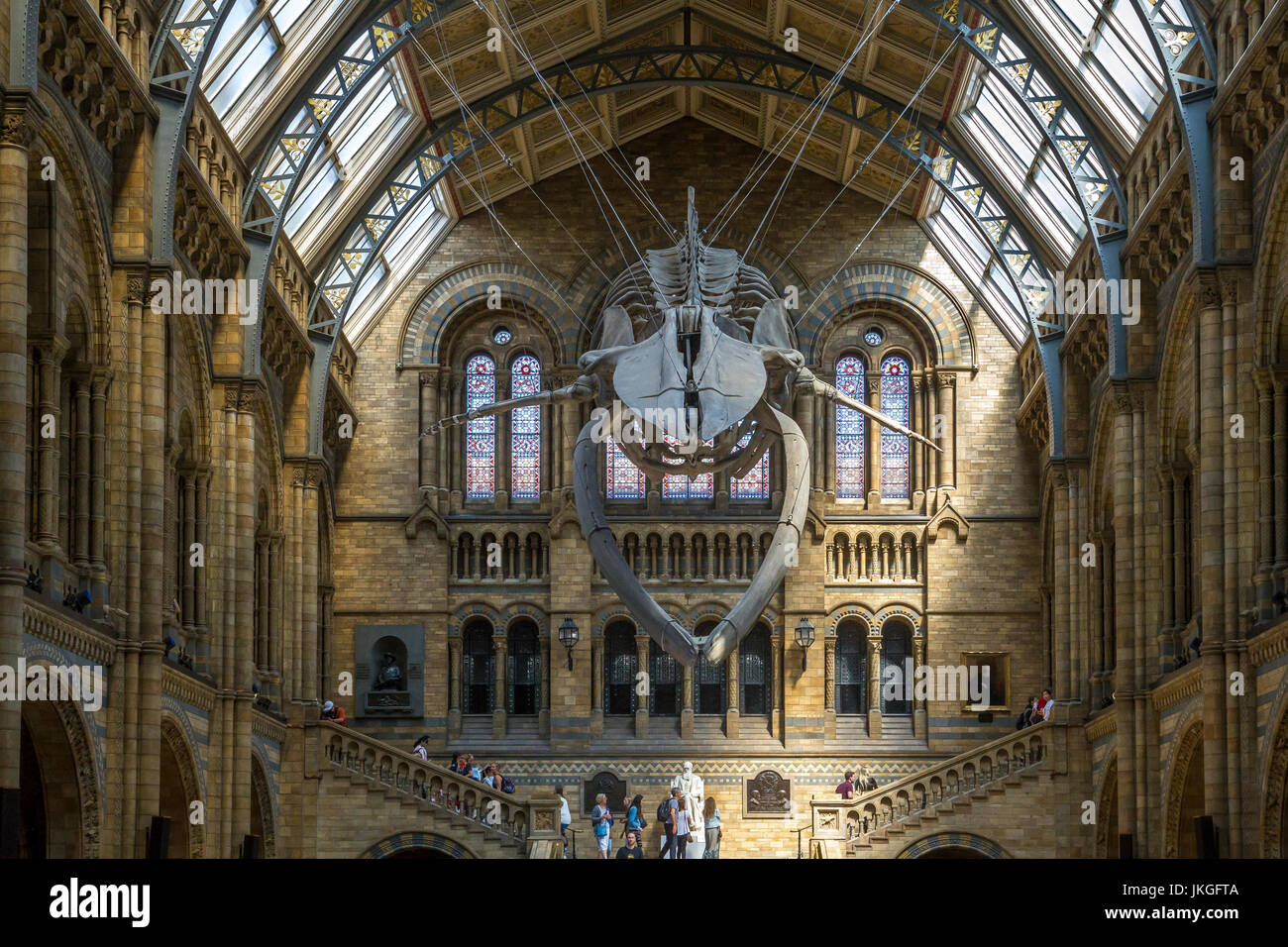 Espero que el gigantesco esqueleto de ballena azul, Balaenoptera musculus suspendido del techo de Hintze Hall en el Museo de Historia Natural, Londres, Reino Unido Foto de stock