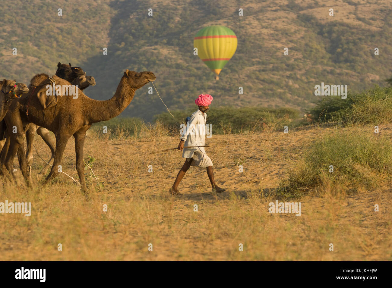 Pastores de camellos llevando sus camellos a través del desierto, en la Feria de Pushkar, en Rajastán, India. En globo de aire caliente en el fondo. Foto de stock