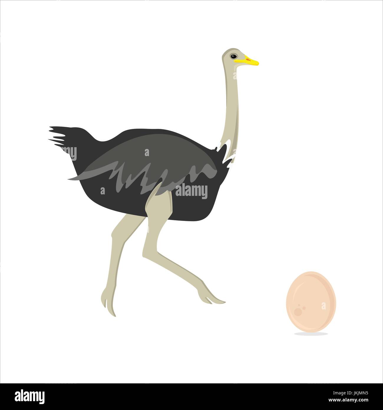 Ilustración vectorial de aves africanas corriendo avestruces y huevos