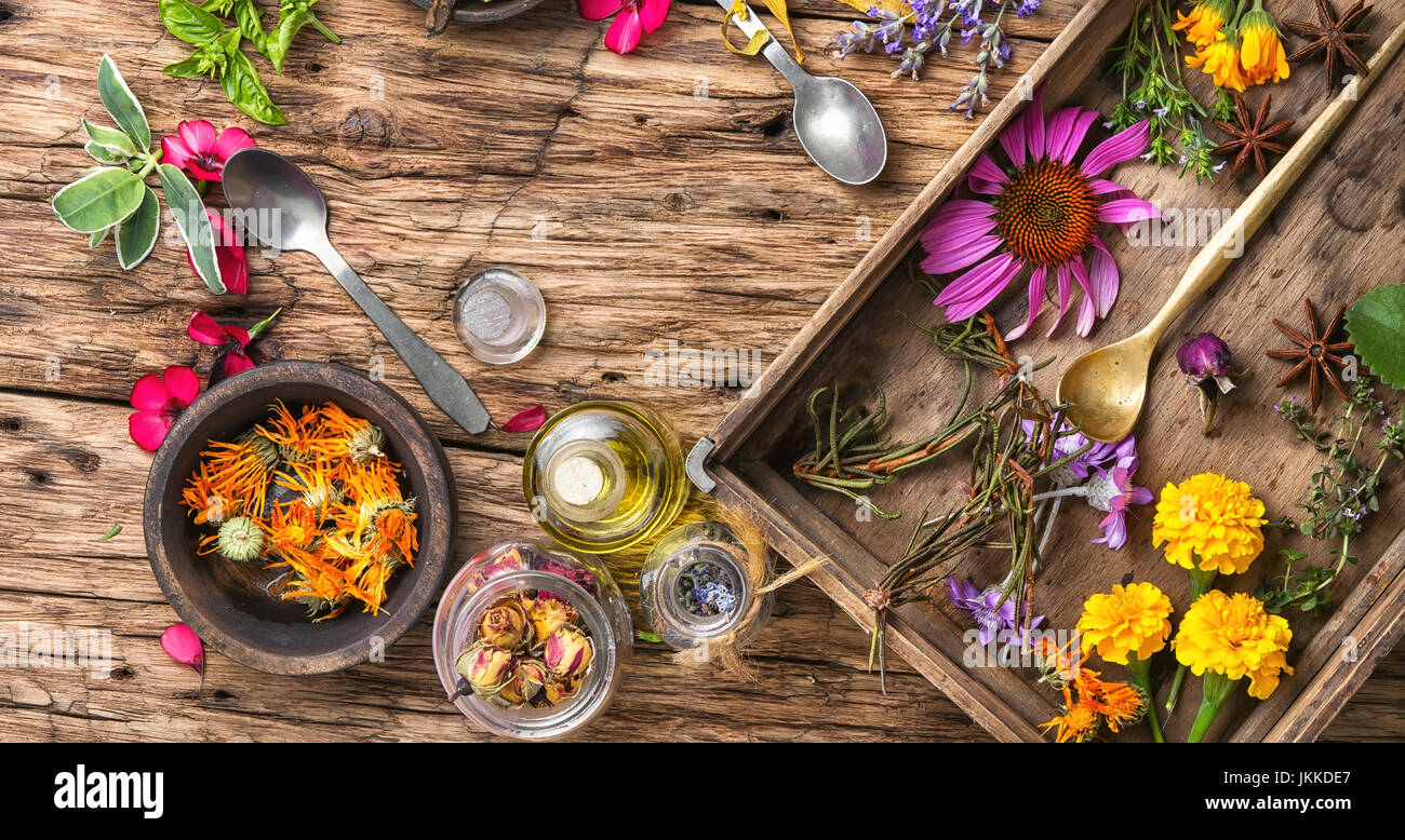 Plantas medicinales en caja de madera fotografías e imágenes de alta