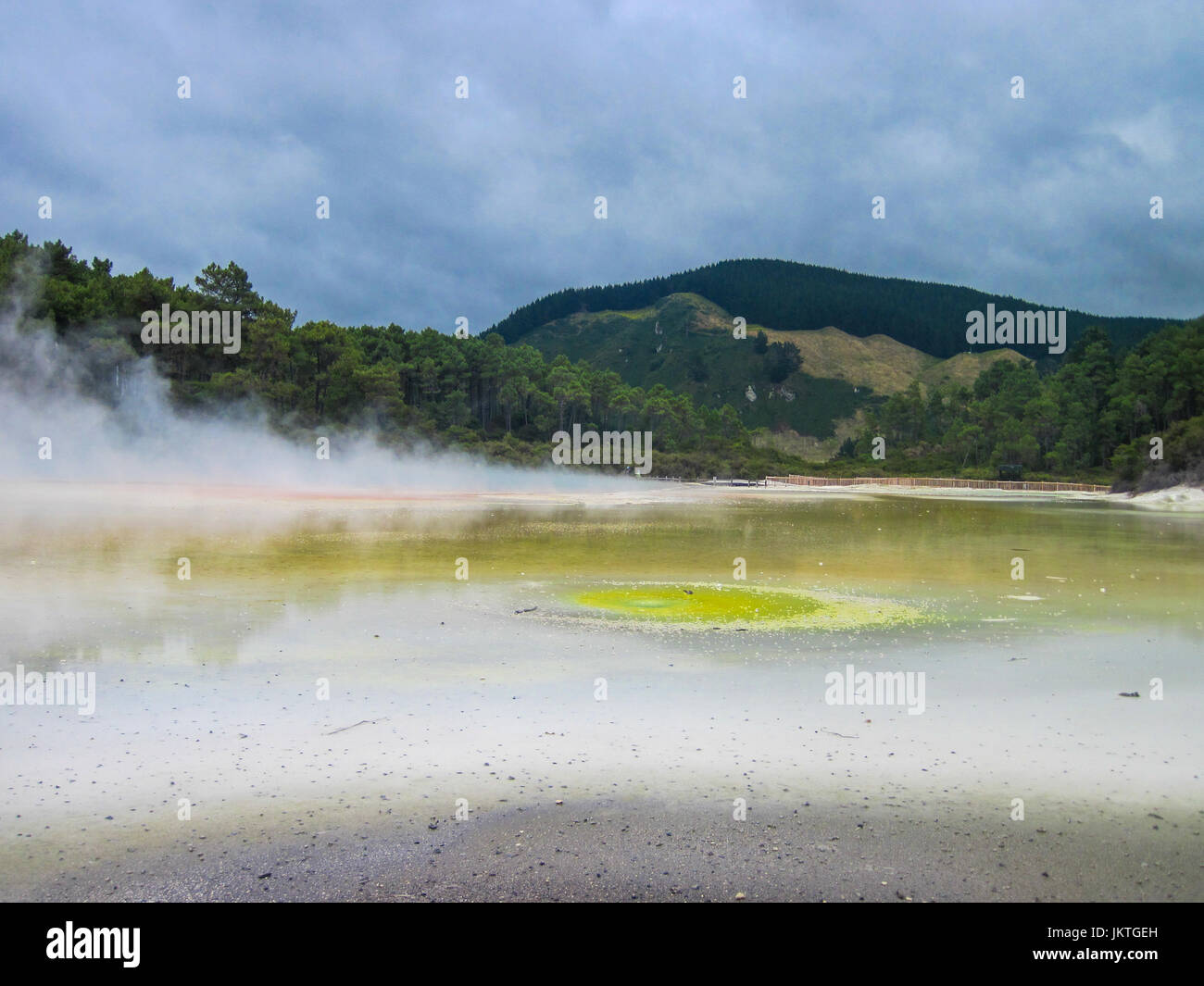 El vapor geotérmico de azufre amarillo piscinas en Wai-O-Tapu geotérmica Park, North Island, Nueva Zelanda, cerca de Rotorua. Foto de stock