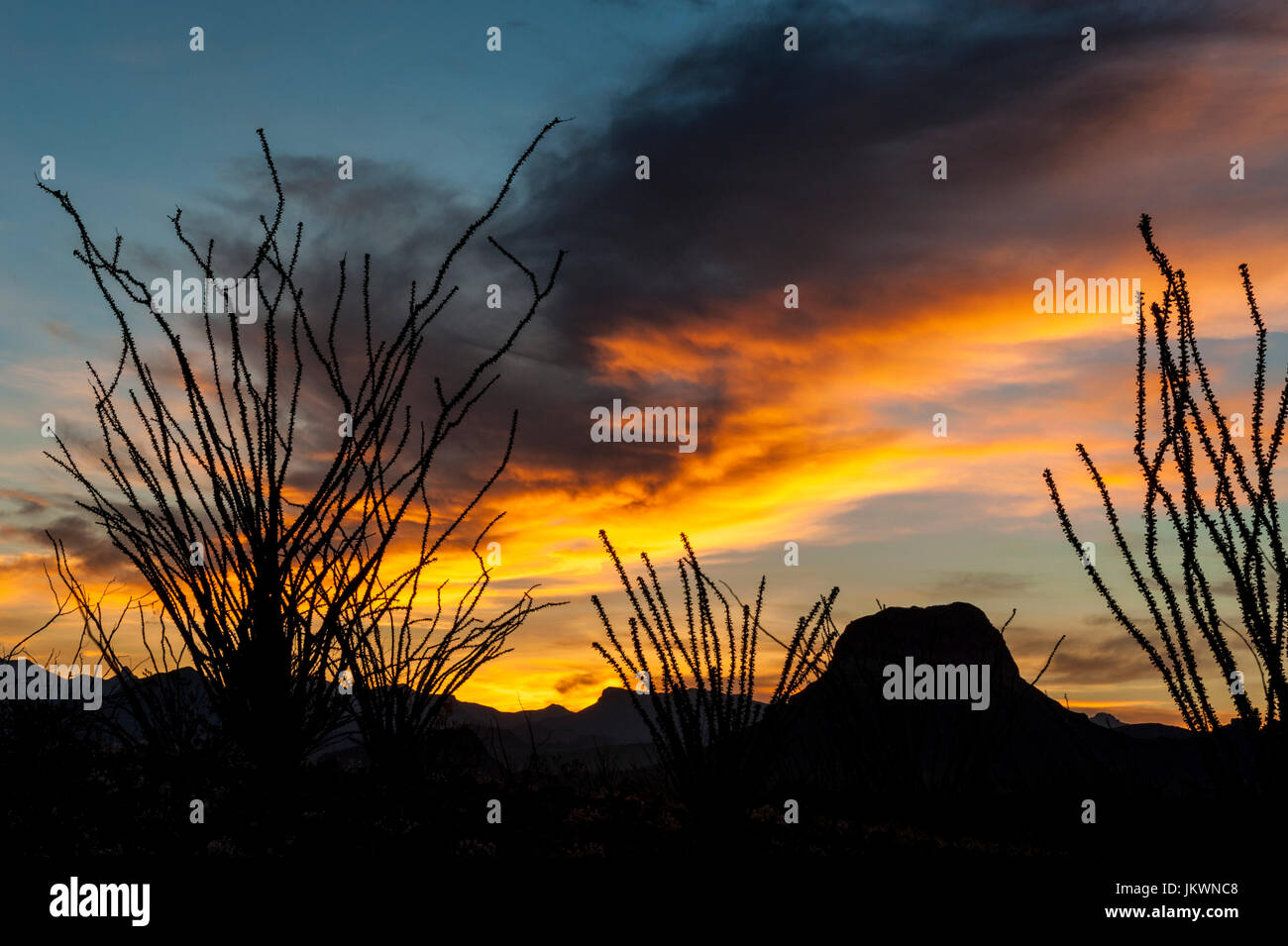 Amanecer en el Parque Nacional Big Bend Foto de stock