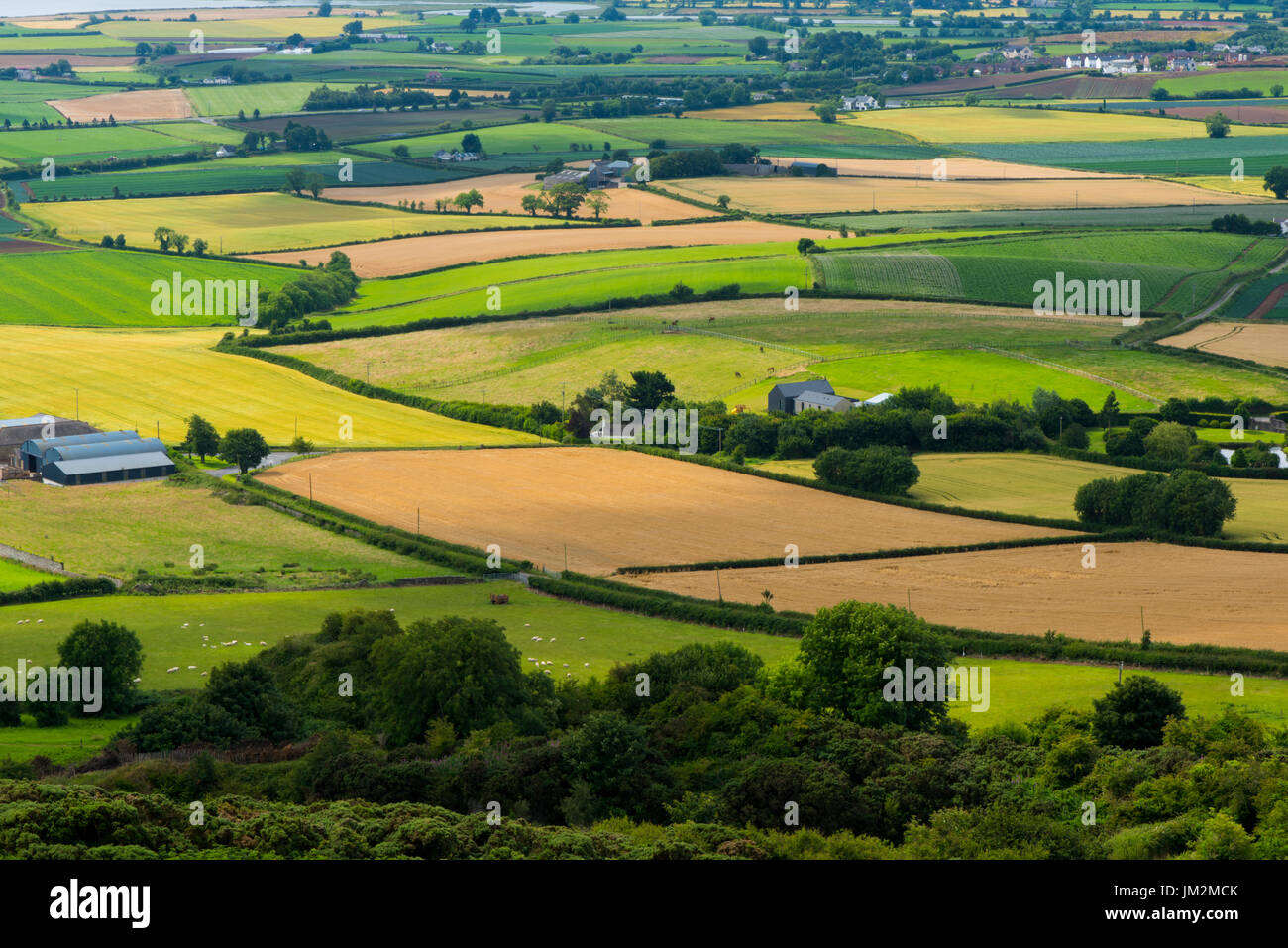 La laminación, la verde campiña de la Ards Peninsula como vistas desde la cima de Scrabo Tower, Newtownards en julio de 2017 Foto de stock