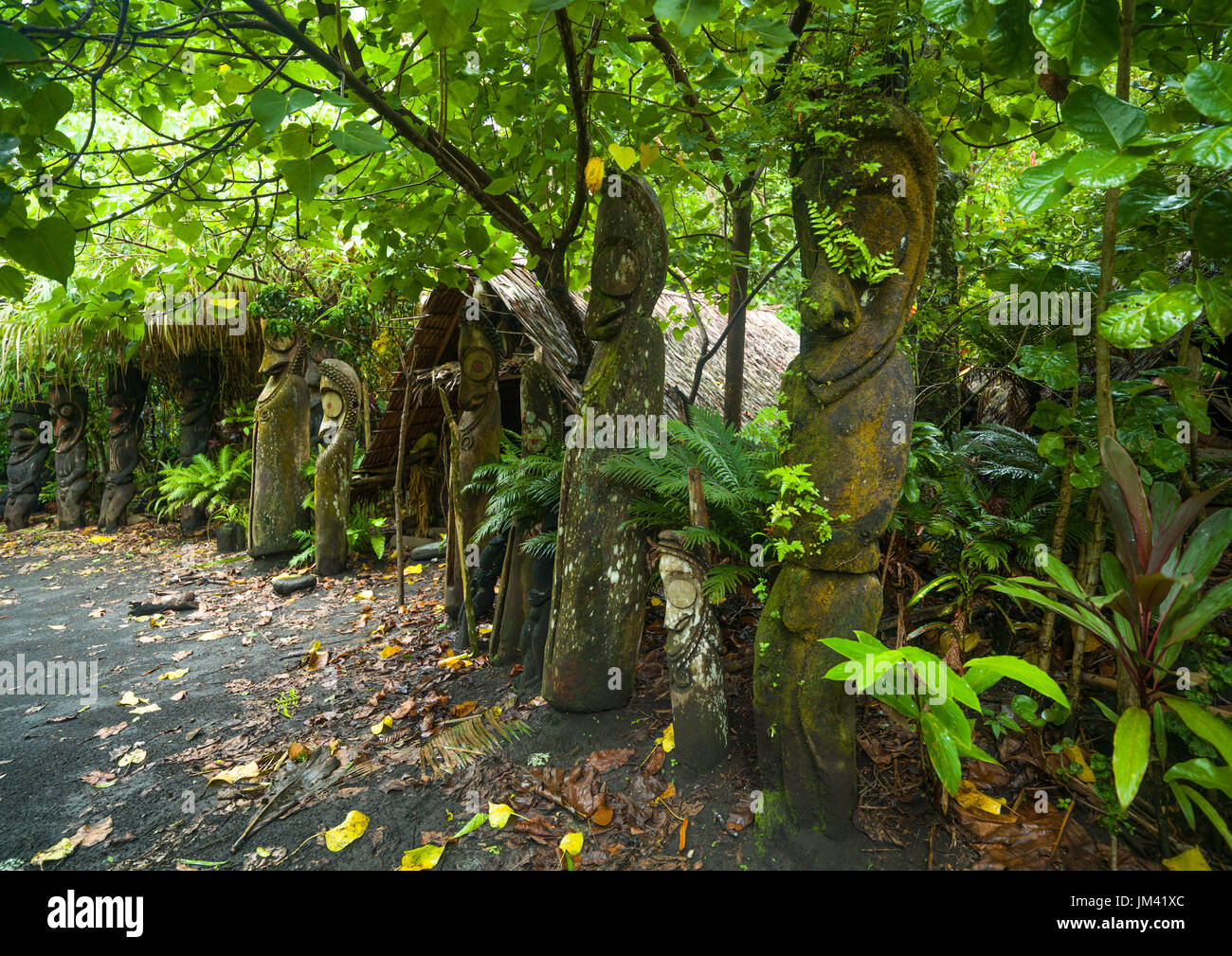 Hendidura gong y Fern Tree figuras en selva, isla Ambrym Vanuatu Fotografía de stock - Alamy